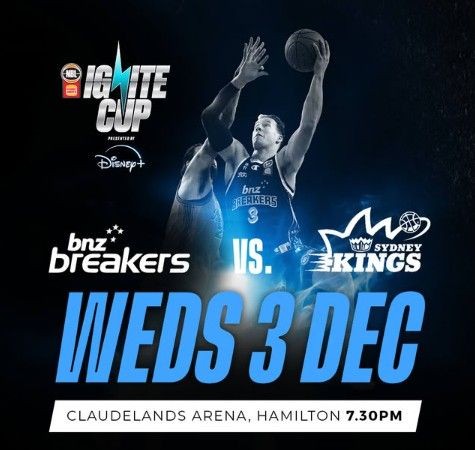 Hamilton City Council